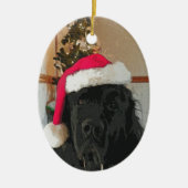 Newfoundland Dog Ornament (Voorkant)