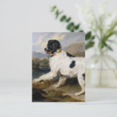 Newfoundland Dog Painting Briefkaart (Staand voorkant)