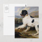 Newfoundland Dog Painting Briefkaart (Voorkant / Achterkant)