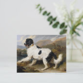 Newfoundland Dog Painting Briefkaart (Staand voorkant)