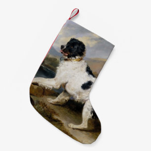 Newfoundland Dog Painting Kleine Kerstsok