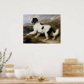 Newfoundland Dog Painting Poster (Keuken)