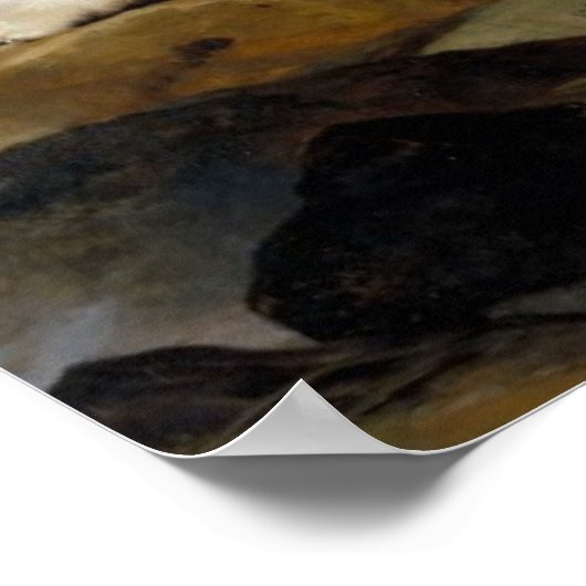 Newfoundland Dog Painting Poster (Hoek)