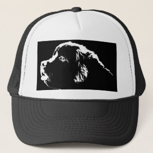 Newfoundland Dog Petten Petten Hondenliefhebber Pe