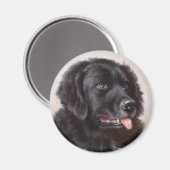 Newfoundland Dog Portrait Magneet (Voorkant / Achterkant)