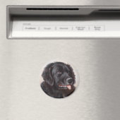 Newfoundland Dog Portrait Magneet (Insitu (Vaatwasser))
