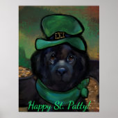 Newfoundland Dog Poster (Voorkant)