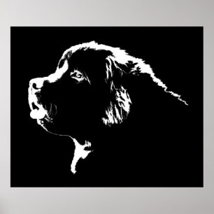 Newfoundland Dog Print Dog Art Posters Giften