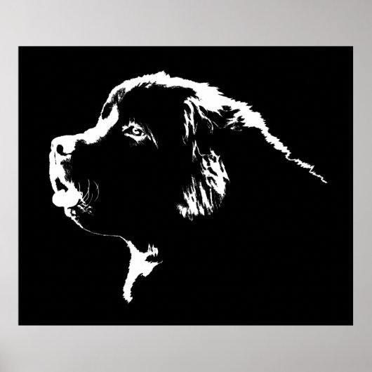 Newfoundland Dog Print Dog Art Posters Giften (Voorkant)