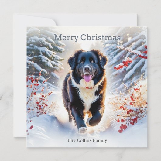Newfoundland Dog Snow Scene Waterverf Kerst Feestdagenkaart (Voorkant)