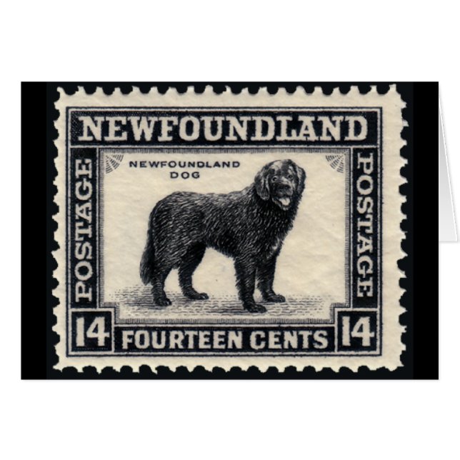 Newfoundland Dog Stamps Gifts (Voorkant Horizontaal)