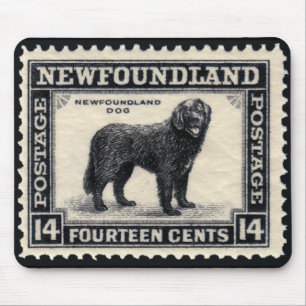 Newfoundland Dog Stamps Gifts Muismat
