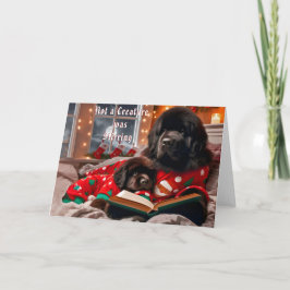 Newfoundland Dog Storytime Christmas Kaart