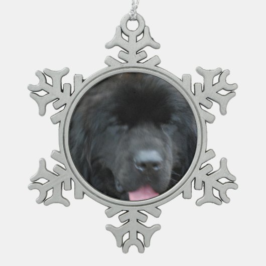 Newfoundland Dog Tin Sneeuwvlok Ornament (Voorkant)
