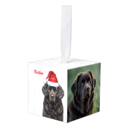 Newfoundland Dog Two Photo Kerstmis Holiday Decoratie
