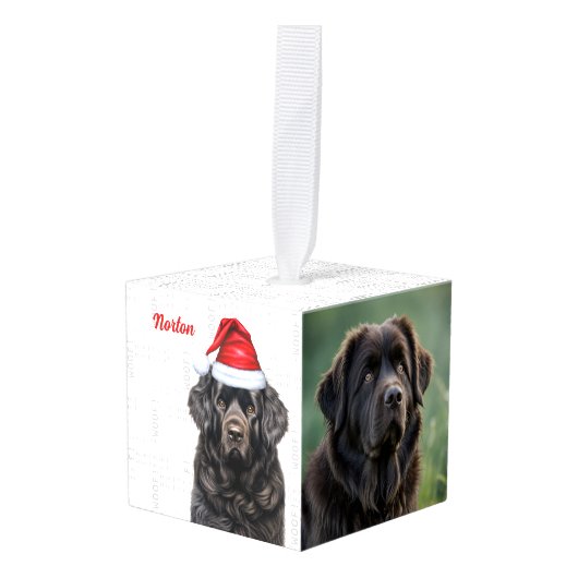 Newfoundland Dog Two Photo Kerstmis Holiday Decoratie (Voorkant hoekig)