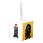 Newfoundland Dog Two Photo Kerstmis Holiday Decoratie (Achter hoekig)