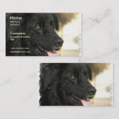 Newfoundland Dog Visitekaartje (Voorkant / Achterkant)