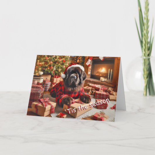 Newfoundland Dog Wrapping Gifts Christmas Kaart (Voorkant)
