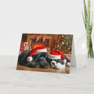 Newfoundland Dogs Asleep Christmas Kaart