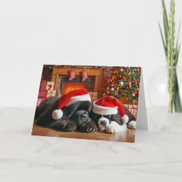 Newfoundland Dogs Asleep Christmas Kaart