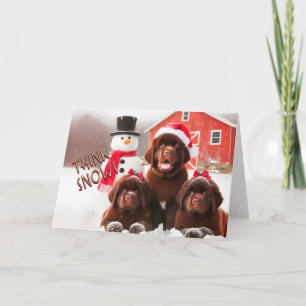 Newfoundland Dogs Brown, Snow Christmas Kaart
