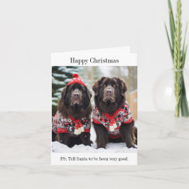 Newfoundland Dogs Christmas Jumpers Kaart