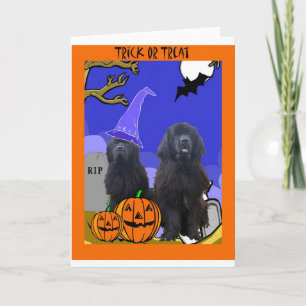 Newfoundland Dogs Halloween Kaart