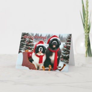Newfoundland Dogs in Sleigh Christmas Kaart