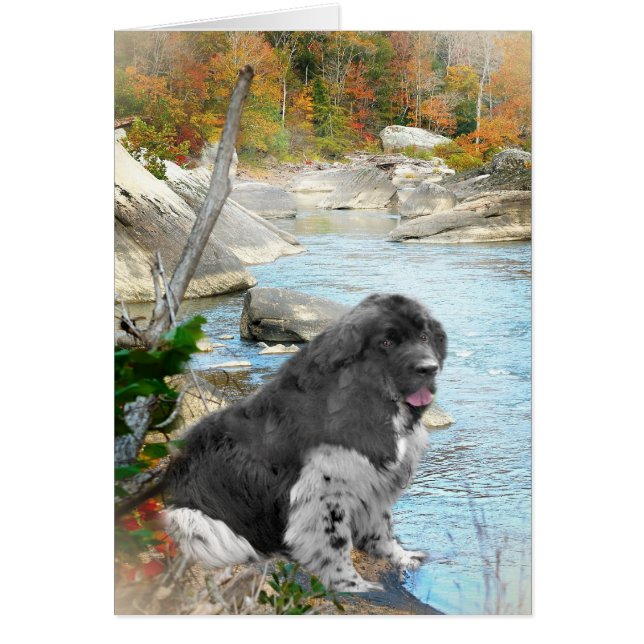 Newfoundland door stromende stroomkaarten (Voorkant)