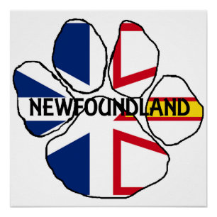 Newfoundland_en_Labrador vlag naam poot Perfect Poster