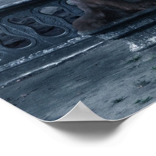 Newfoundland Gargoyle Poster (Hoek)