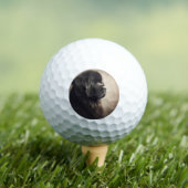 Newfoundland Golfballen (Insitu Shirt)