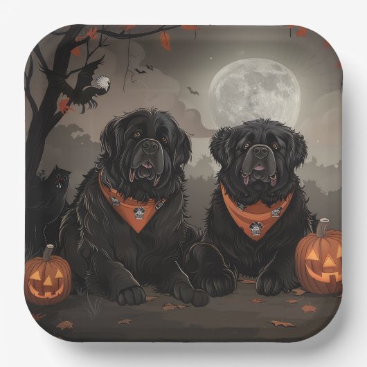 Newfoundland Halloween Spooky Papieren Bordje (Voorkant)
