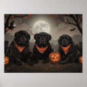 Newfoundland Halloween Spooky Poster (Voorkant)