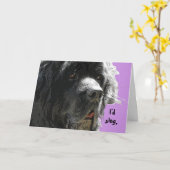 Newfoundland Happy Birthday Kaart (Gele Bloem)