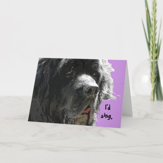 Newfoundland Happy Birthday Kaart (Voorkant)