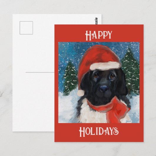 NEWFOUNDLAND-HOND BRIEFKAART (Voorkant / Achterkant)