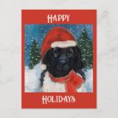 NEWFOUNDLAND-HOND BRIEFKAART (Voorkant)