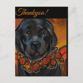 Newfoundland-hond   briefkaart