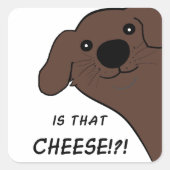 Newfoundland Hond Bruin Is Die Kaas Vierkante Sticker (Voorkant)