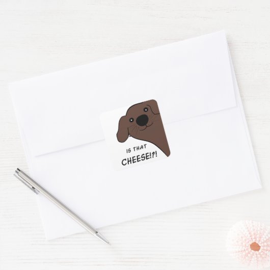 Newfoundland Hond Bruin Is Die Kaas Vierkante Sticker (Envelop)