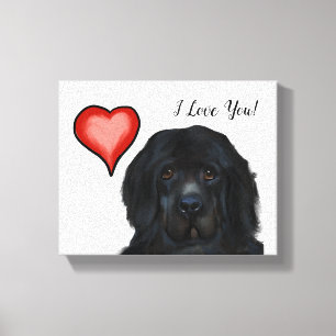 Newfoundland-hond Canvas Afdruk