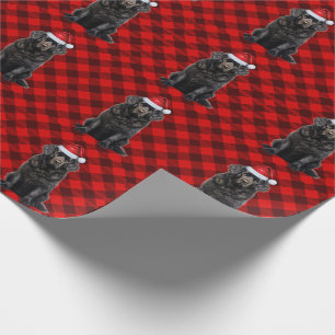 Newfoundland hond en rode feestdag gespeeld Kerstm Cadeaupapier