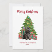 Newfoundland Hond Familie Kerstmis Feestdagenkaart (Voorkant)
