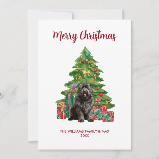 Newfoundland Hond Familie Kerstmis Feestdagenkaart (Voorkant)