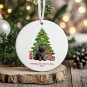 Newfoundland Hond Familie Kerstmis Keramisch Ornament