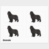 Newfoundland Hond Houtskool Tekening Rechthoekige Sticker (Vel)