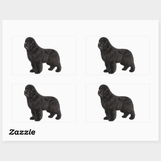 Newfoundland Hond Houtskool Tekening Rechthoekige Sticker (Vel)