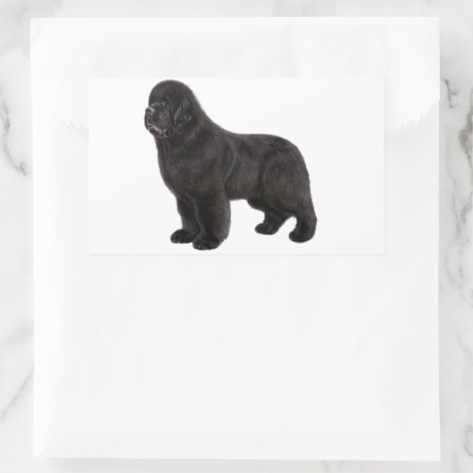 Newfoundland Hond Houtskool Tekening Rechthoekige Sticker (Tas)